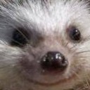 สมาชิกหมายเลข 924334