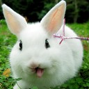 สมาชิกหมายเลข 3065806