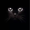 สมาชิกหมายเลข 3066635