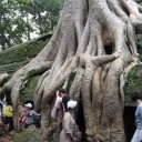 สมาชิกหมายเลข 1019675