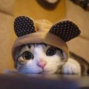 สมาชิกหมายเลข 1023507