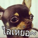 สมาชิกหมายเลข 904042