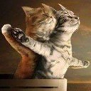 สมาชิกหมายเลข 989397