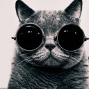 สมาชิกหมายเลข 1856891