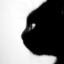 สมาชิกหมายเลข 2455266