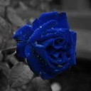 สมาชิกหมายเลข 3066807