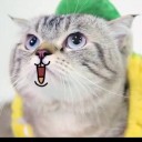 สมาชิกหมายเลข 3529566