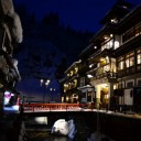 สวนไผ่ใบหลิว