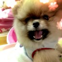 สมาชิกหมายเลข 1313104