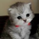 สมาชิกหมายเลข 835157