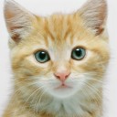 สมาชิกหมายเลข 3525430