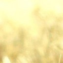 สมาชิกหมายเลข 3530221