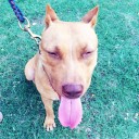 สมาชิกหมายเลข 1065839