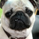 สมาชิกหมายเลข 2264739