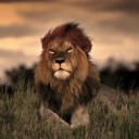 สมาชิกหมายเลข 3382240