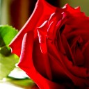 สมาชิกหมายเลข 1858411