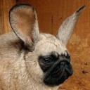 สมาชิกหมายเลข 2989234