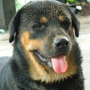 สมาชิกหมายเลข 2092068