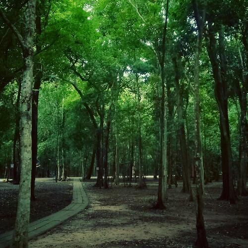 สมาชิกหมายเลข 3300995