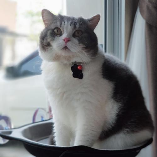 สมาชิกหมายเลข 3427866