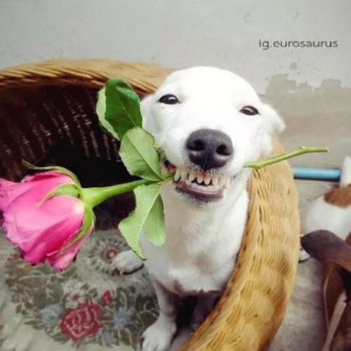 สมาชิกหมายเลข 5184715