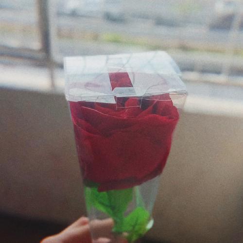 สมาชิกหมายเลข 5185710