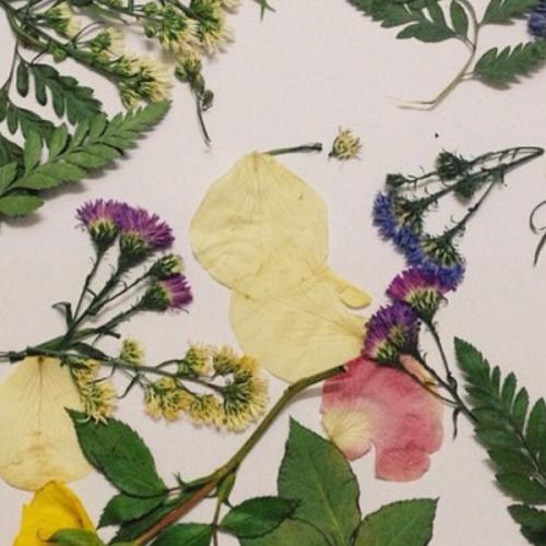 สมาชิกหมายเลข 2094708