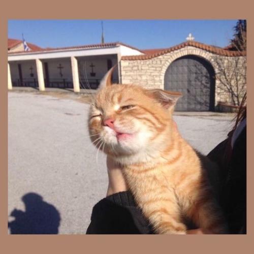 สมาชิกหมายเลข 4987267