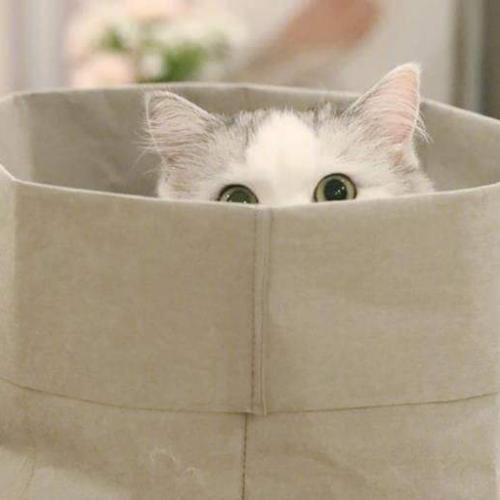 สมาชิกหมายเลข 5593819