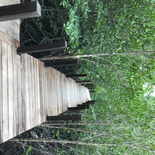 สมาชิกหมายเลข 5889435