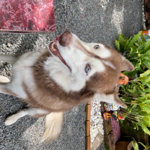 สมาชิกหมายเลข 6157045