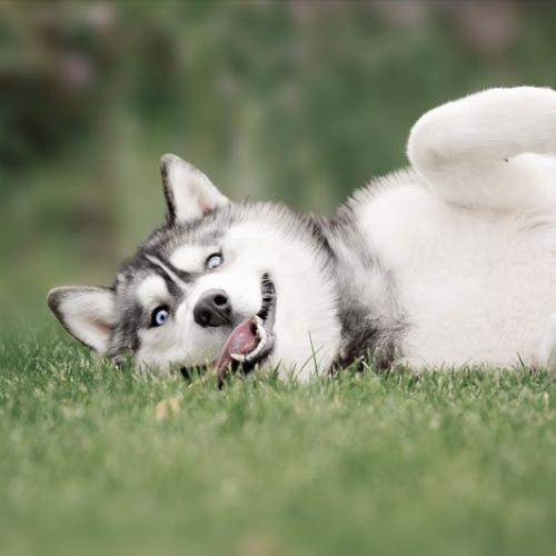 สมาชิกหมายเลข 6157169