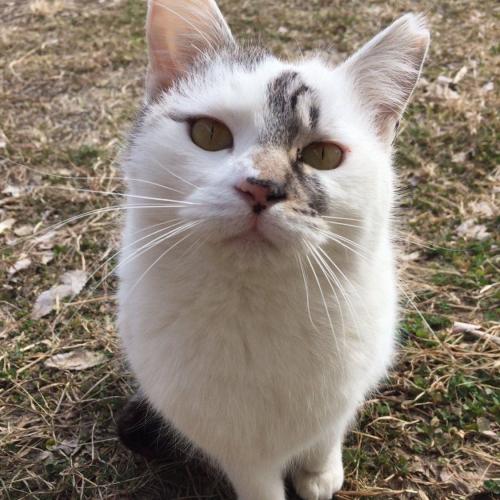 สมาชิกหมายเลข 6157190