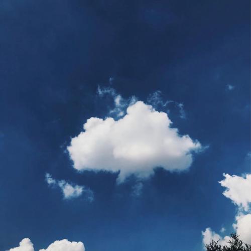 สมาชิกหมายเลข 876292