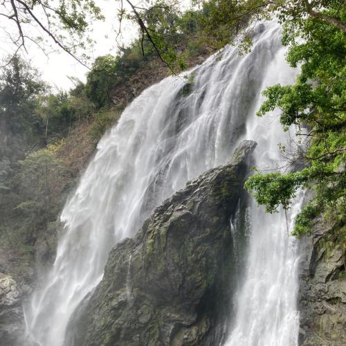 สมาชิกหมายเลข 3522520