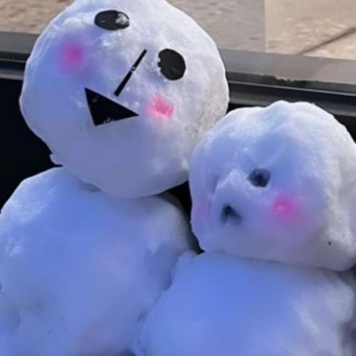 สมาชิกหมายเลข 6785618