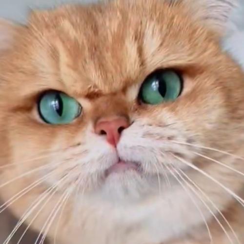 สมาชิกหมายเลข 7558286