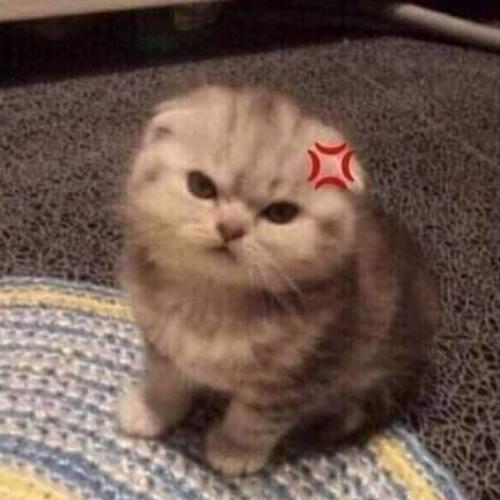 สมาชิกหมายเลข 7918274