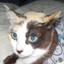 น้องสวย