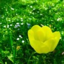 สมาชิกหมายเลข 4002482