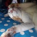 สมาชิกหมายเลข 4466744