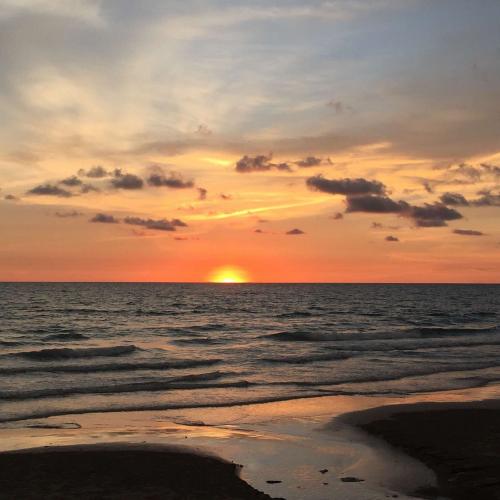 สมาชิกหมายเลข 4803139