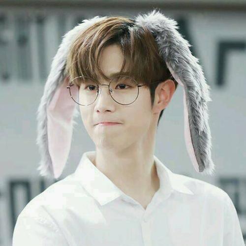 สมาชิกหมายเลข 4804244