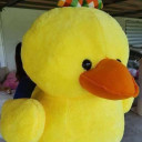 สมาชิกหมายเลข 4007217