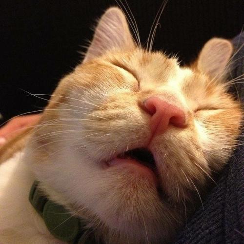 สมาชิกหมายเลข 5173927