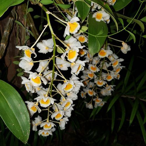 สมาชิกหมายเลข 5186015