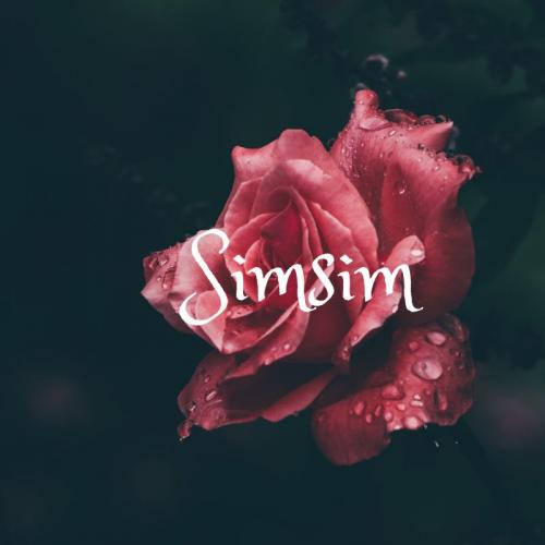 สมาชิกหมายเลข 5162541