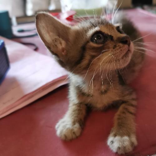 สมาชิกหมายเลข 5236142