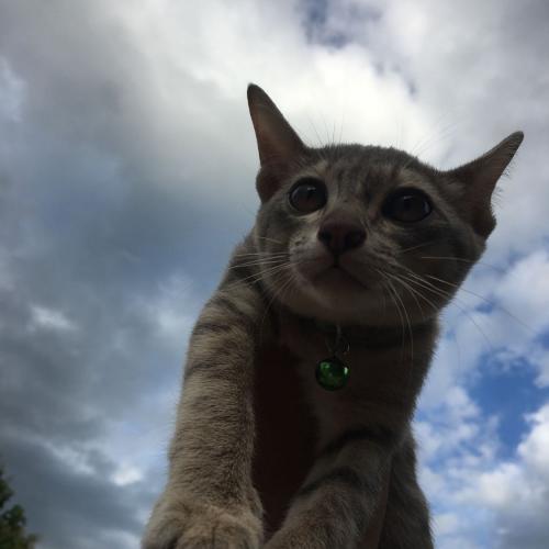 สมาชิกหมายเลข 5449309