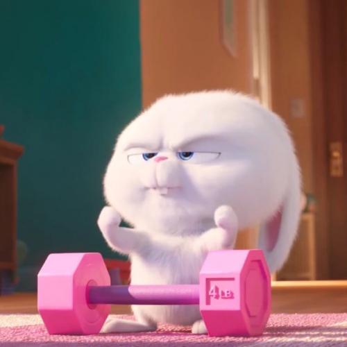 สมาชิกหมายเลข 5593914